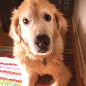 Meet your Posher, Kari